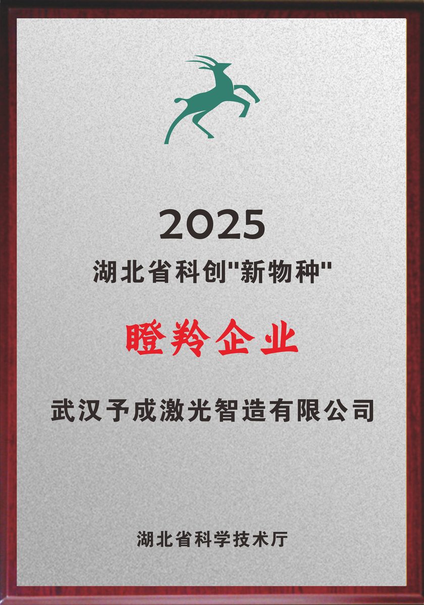 资质证书 01